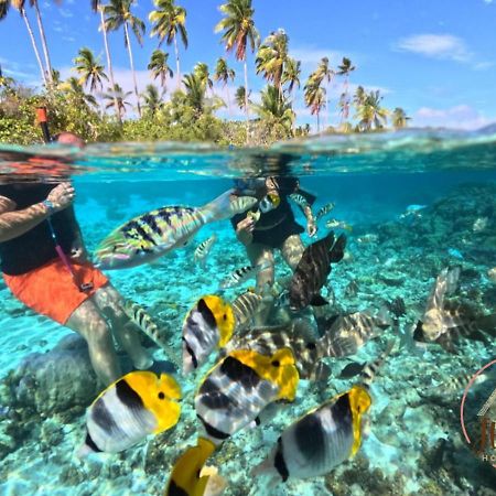 فيلا Hutiarii House & Car & Excursions Raiatea Tevaitoa المظهر الخارجي الصورة