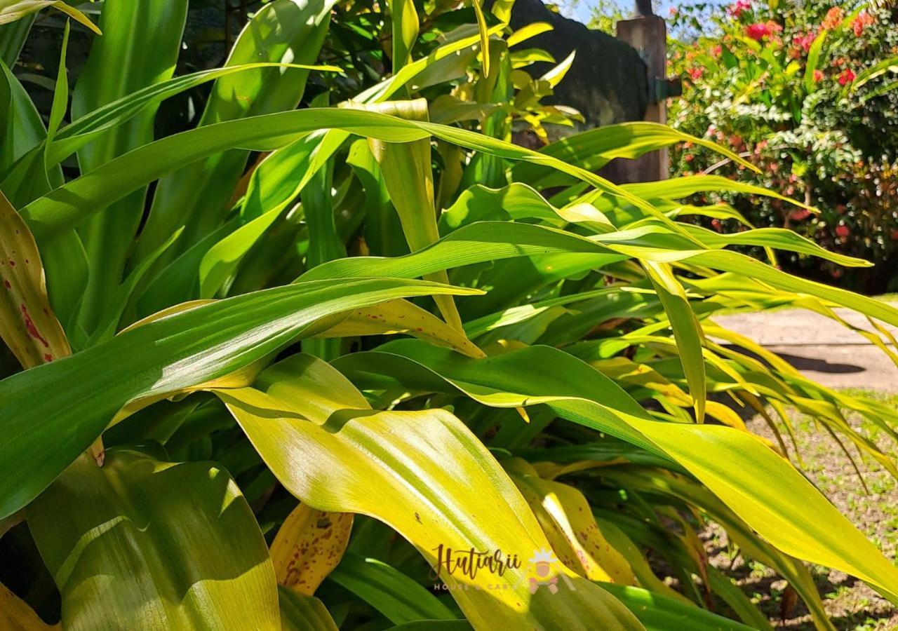 فيلا Hutiarii House & Car & Excursions Raiatea Tevaitoa المظهر الخارجي الصورة