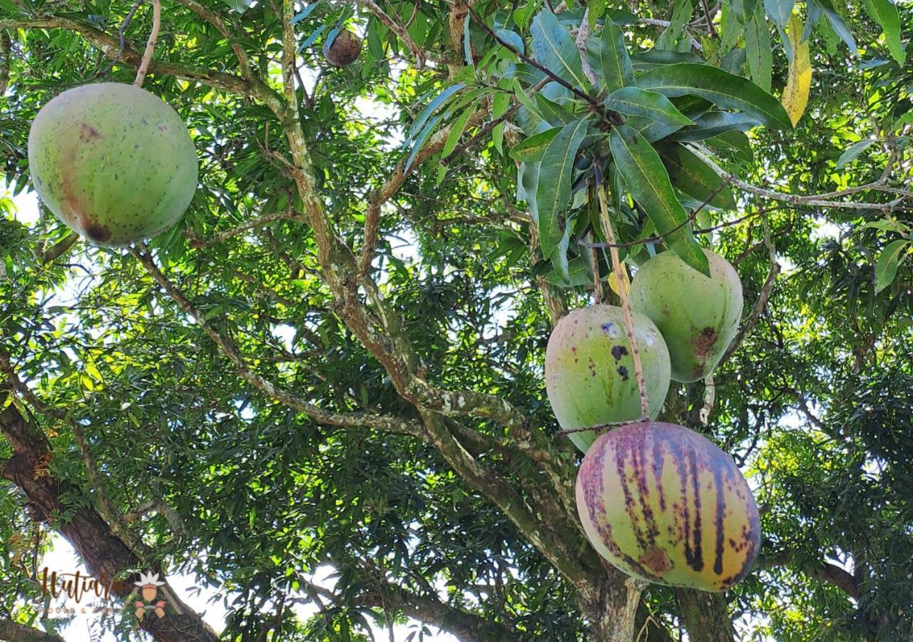 فيلا Hutiarii House & Car & Excursions Raiatea Tevaitoa المظهر الخارجي الصورة